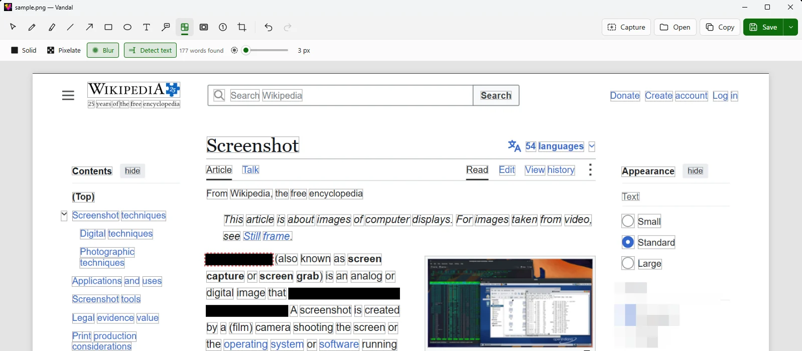 Redact with Detect text: words outlined, and two lines blacked out